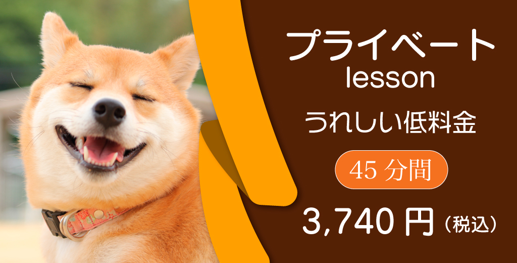 プライベートレッスンなのに、嬉しい低料金、60分間、3,740円。